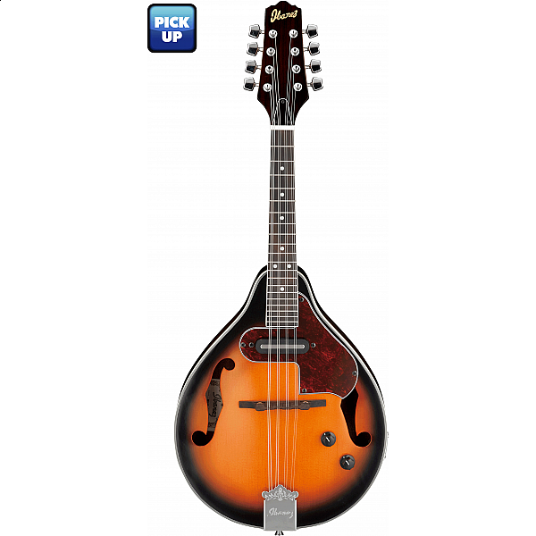 Ibanez mandolína M510-EBS