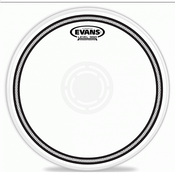 Evans B14 EC1RD - blana na rytmičák 14"